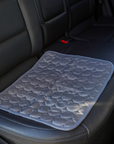 Washable 2-in-1 Pee Pad and Cooling Mat for Dogs - Reusable pet care solution providing comfort and hygiene.