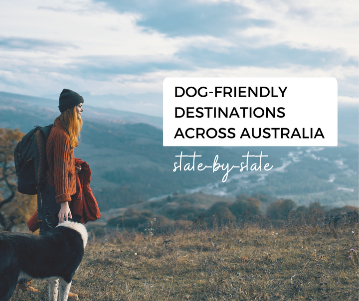 Top Dog-Friendly Destinations Across Australia