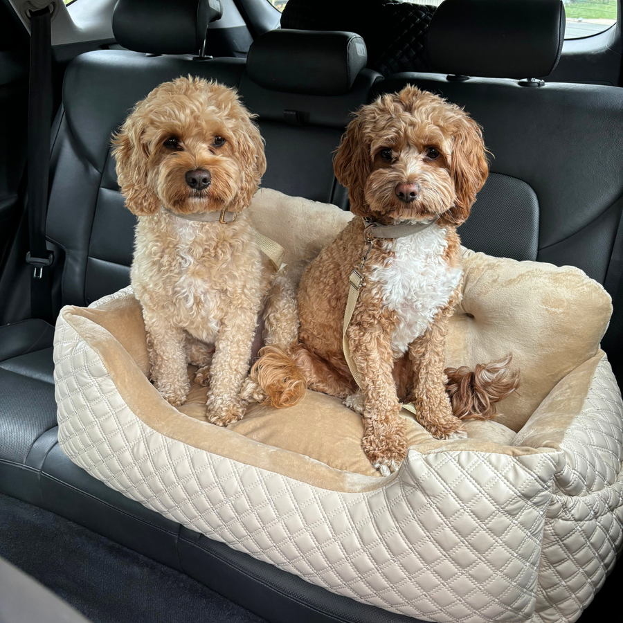 Race car dog bed clearance