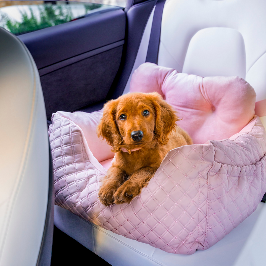 Dog Car Seat - Comfortable and Secure Pet Travel Solution for Small Dogs