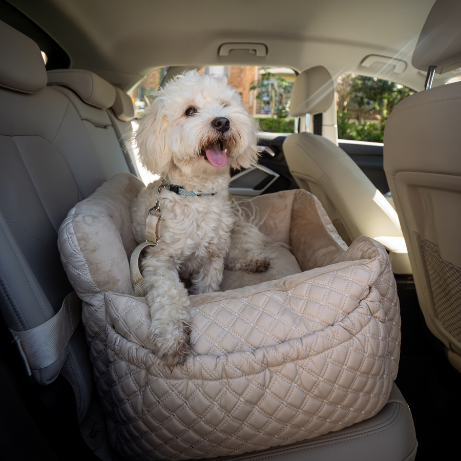 The Luxury Car Bed