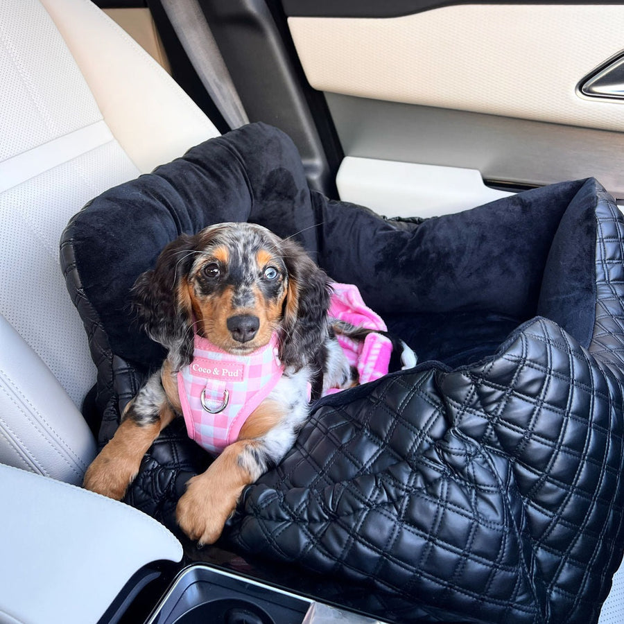 Premium Luxury Dog Car Seat - Comfortable and Secure Pet Travel Solution for Small Dogs