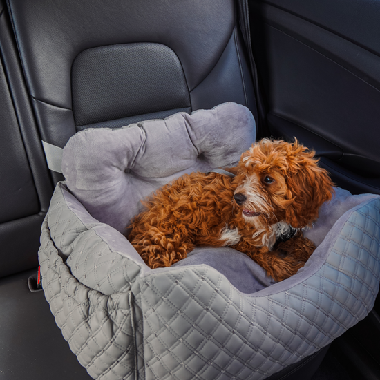 Luxury Car Bed for Dogs | Waggs and Bone