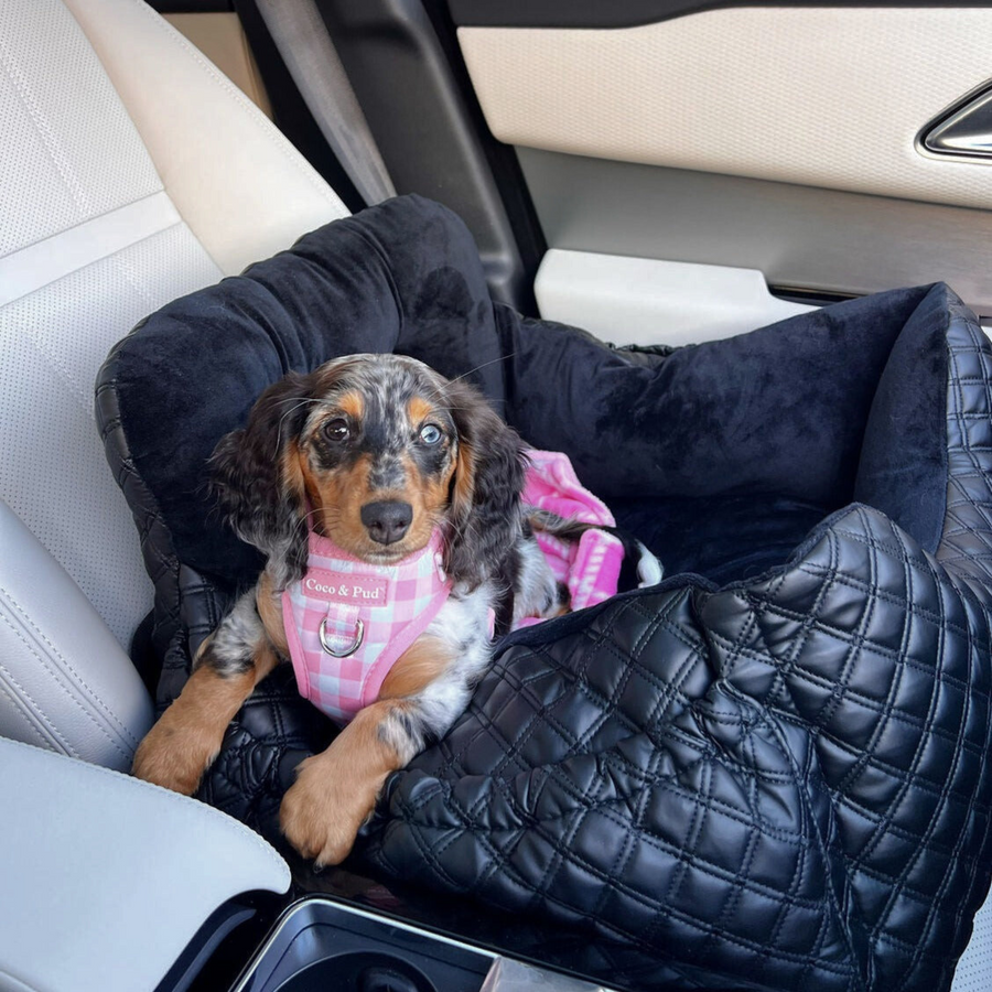 The Luxury Car Bed